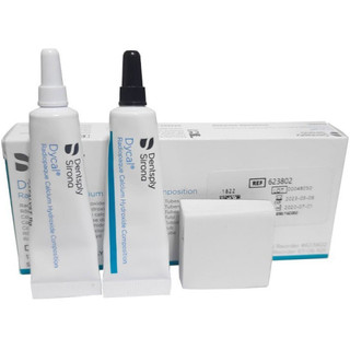 دایکال سلف دنتسپلی Dentsplay